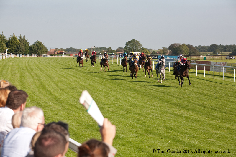 Horses racing the final furlong at Bath Racecourse