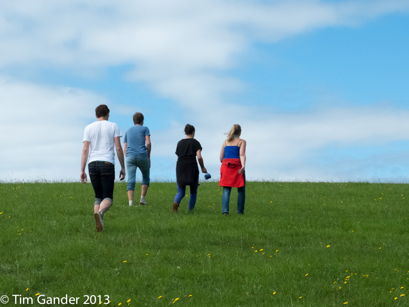 Four people, backs to camera, walking up a grassy meadow