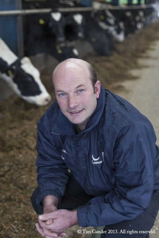 Dairy farmer Alan Creed poses in his cow shed with cows visible behind