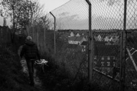 A dog cocks its leg against a chainlink fence as it's owner walks along. Beyond the fence can be seen one of Frome's modern housing estates.