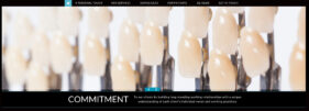 Screen grab from a page detail from the JSL Dental Laboratory website.