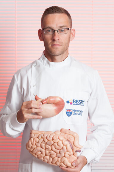 Human Psychology Phd student Dave Houghton poses with a model stomach and intestine for a BBSRC research project on the benefits of alginates on digestion.