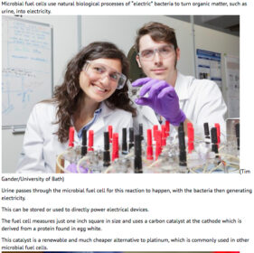 Screen grab of online use of image sent out with University of Bath press release explaining the research into urine-powered fuel cells.