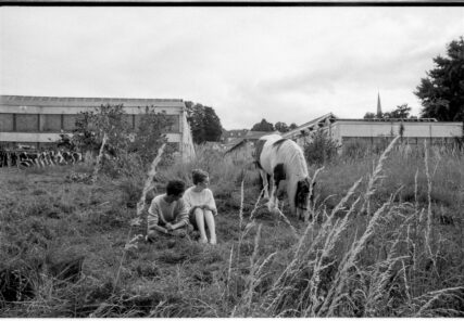 A young couple sits amongst tall grass, looking across at a horse grazing illegally