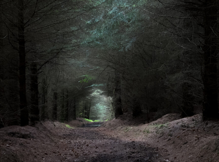 Looking down a forrest track with soft, overhead green light filtering through the branches of trees and a brighter patch of light at the end of the path.