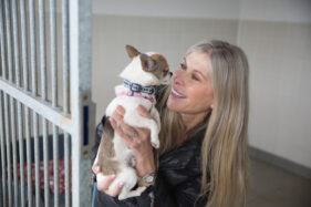 29/04/2016 Olympic swimmer and TV personality Sharron Davies wants local business people to sign up to the Bath Cats and Dogs Home Kennel Challenge which takes place on June 10th 2016. Sharron hopes canine friends like Chico will benefit from the funds raised from the Kennel Challenge event. Photo by Tim Gander. This image is free for editorial use in conjunction with the original press release from Bath Cats and Dogs Home. Contact Zena Jones Senior Fundraiser Tel: 01225 787335 Address: The Avenue, Claverton Down, Bath, BA2 7AZ Email: zenajones@bcdh.org.uk