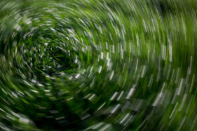 Grass is blurred into a circular pattern by spinning the camera as the photo is taken.