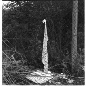 A towel is hung from a chickenwire fence.