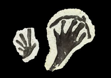 Imprints of gekko feet in ceramic fragments