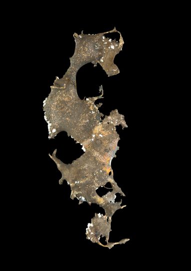 Bronze spill resembling a seahorse