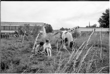 Black and white view of a young male and female couple sitting on grass watching a large horse grazing nearby with buildings in the background.