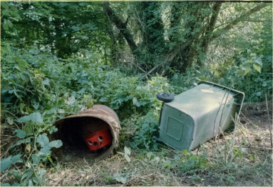 The remains of a Henry vacuum cleaner peering out from inside a rusty metal barrel which lies on its side in an area of brambles and weeds, with a green wheelie bin on its side to the right.