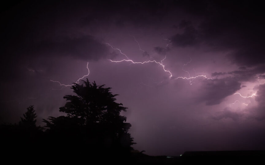 Lightning in the sky at night illuminates a large tree to the left of the photo.