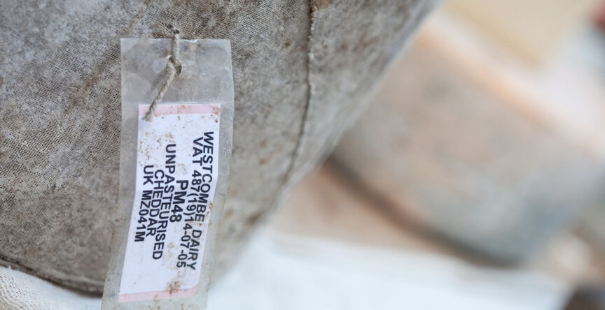 Close-up of a truckle of Westcombe cheddar cheese showing the label.