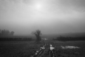 Black and white landscape showing waterlogged farm tracks and Winter trees in fog.