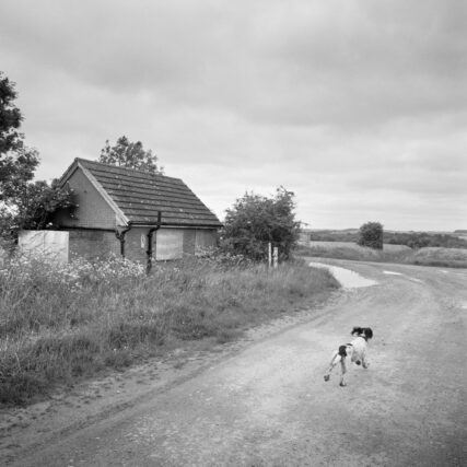 A dog runs past a small building on a gravel track on Salisbury Plain.